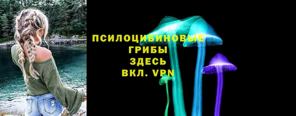 прущие грибы Аркадак