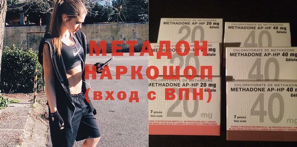 прущие грибы Аркадак