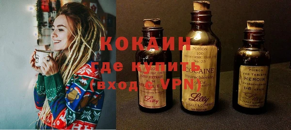 прущие грибы Аркадак
