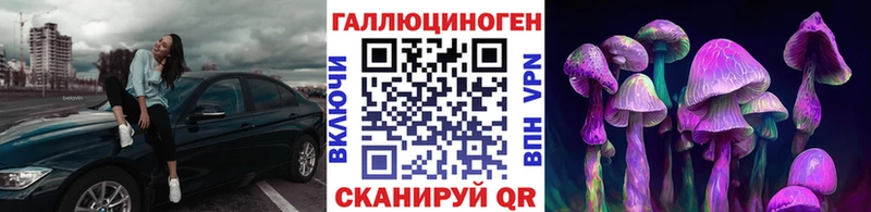 Купить  Богородицк  Псилоцибиновые грибы Psilocybine cubensis 